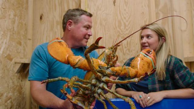 Bar Harbor: Maine's Coastal Jewel