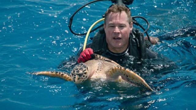 Grand Turk: Save the Turtles