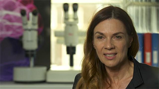 Magdalena Zernicka-Goetz: At the Frontier of Embryology