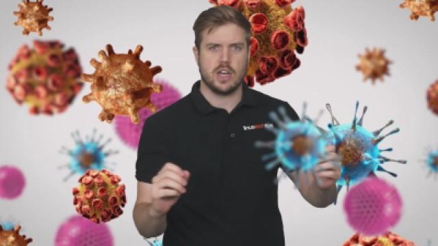 What's the Difference Between Viruses and Malware?