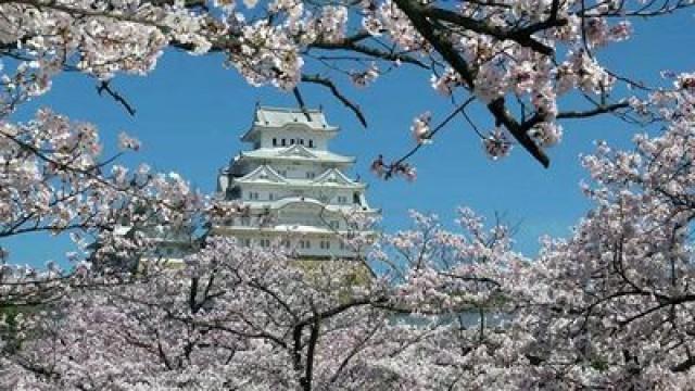 Le château de Himeji, les thermes d'Arima