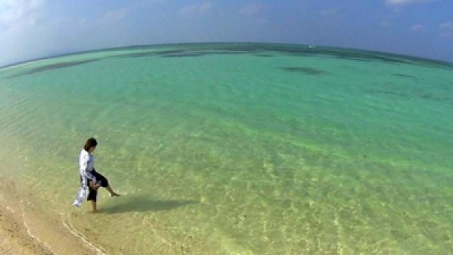 Okinawa : Paradis des mers du sud / Gunma : Sukiyaki et sources chaudes