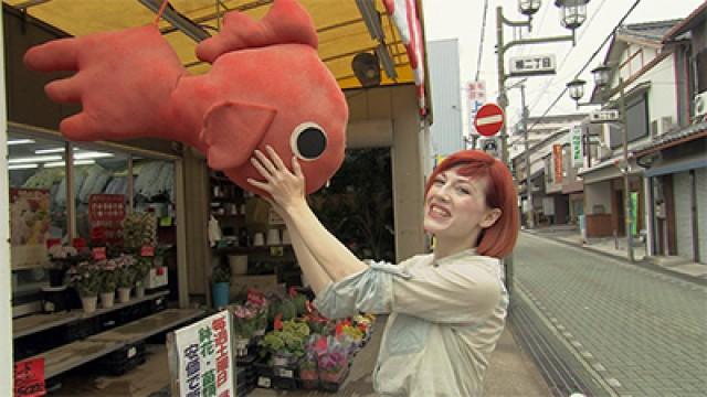 Summer Festivals & The Goldfish of Nara