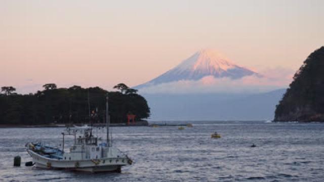 From Mt. Fuji to the Deep Sea & The Joys of Miso