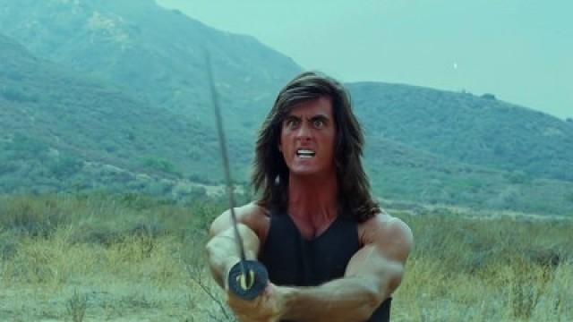 Samurai Cop