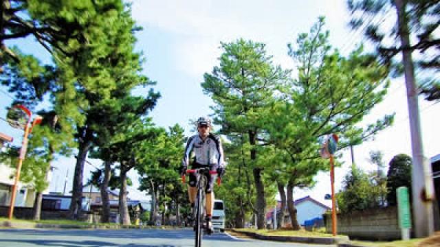 Shizuoka: A Ride through History