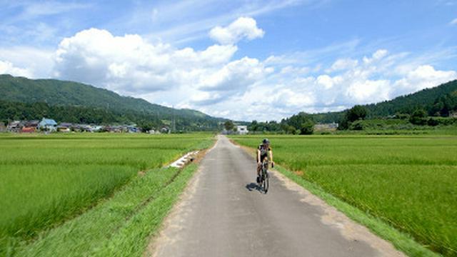 Niigata: The Deep Green of Summer