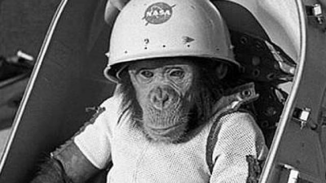 6 Amazing Animals That Advanced Science