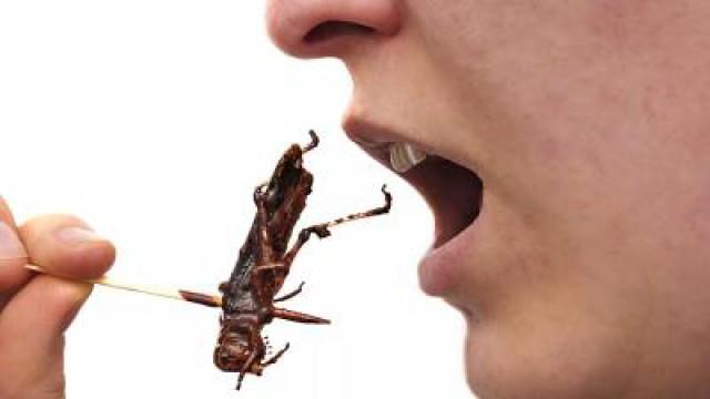 The Real Reason You're a Picky Eater