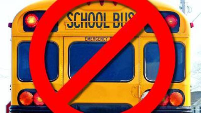 How School Makes Kids Dumb