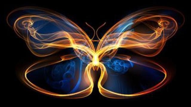 How The Butterfly Effect Has Messed Up Your Life