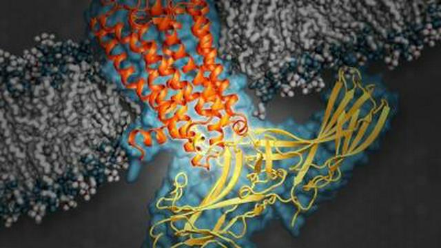 How These New Designer Proteins Will Cure Cancer
