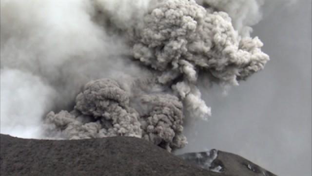 American Wildlife: Valley of 10,000 Smokes