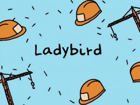 Ladybird