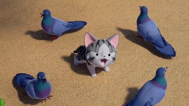 Chi Meets a Pigeon