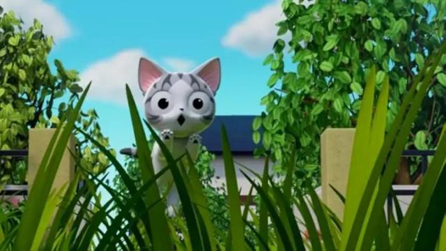 Chi and the Secret Thicket