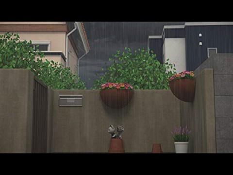 Chi Takes Cover from the Rain