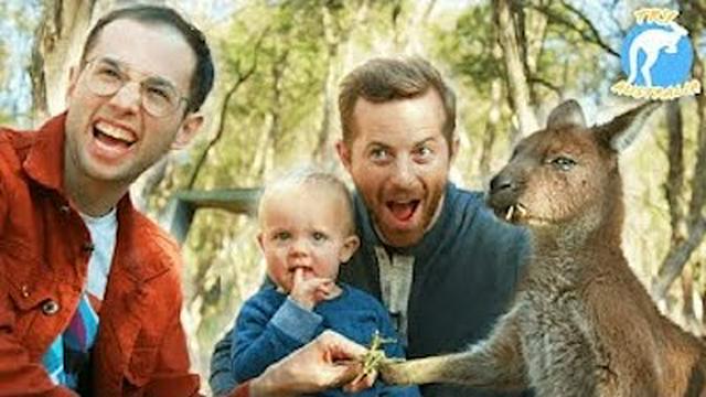 The Try Guys Become Zookeepers For A Day • Try Australia