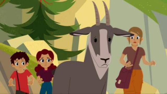 The Desperate Chamois
