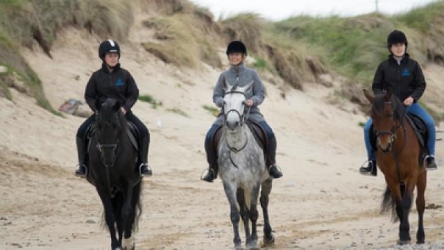 Ireland's Northwest Coast