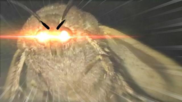 MOTH LAMP MEMES (ASOT)