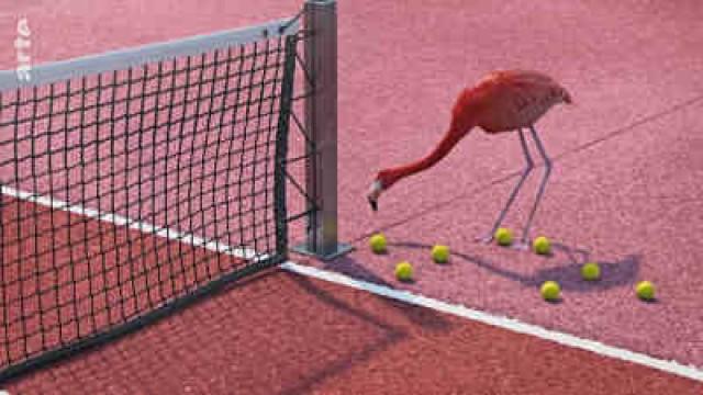 Tennis Training