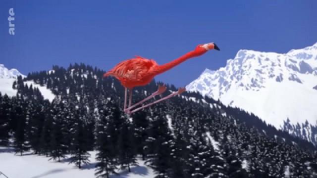 Ski Jumping