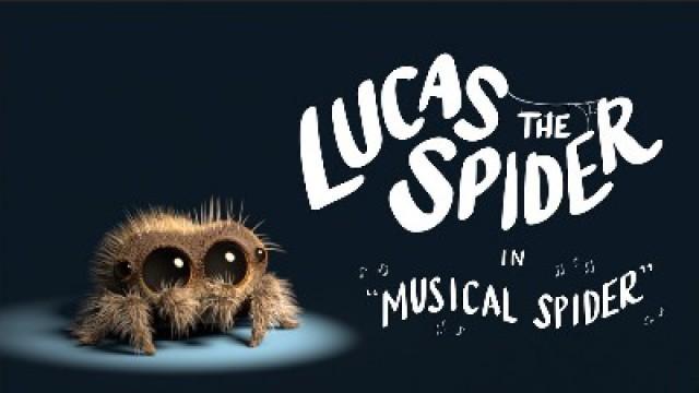 Musical Spider