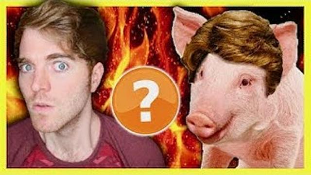 SHANE DAWSON IS A PIG? - CONSPIRACY THEORY