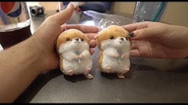 Otters From Japan