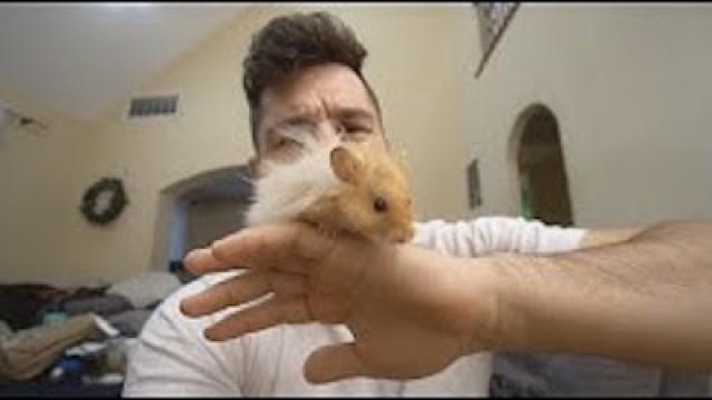 me and my hamster