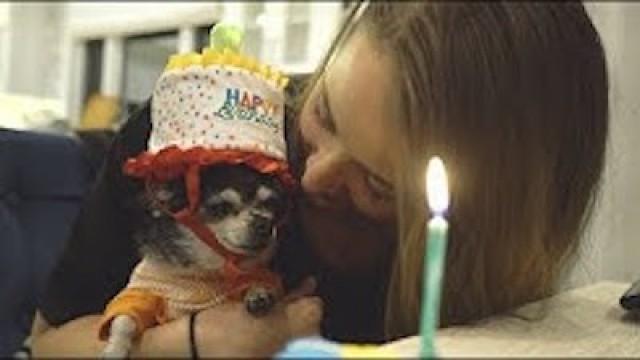 mr. marbles 10th birthday