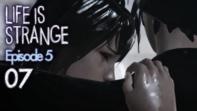 Flieg, kleiner Schmetterling!