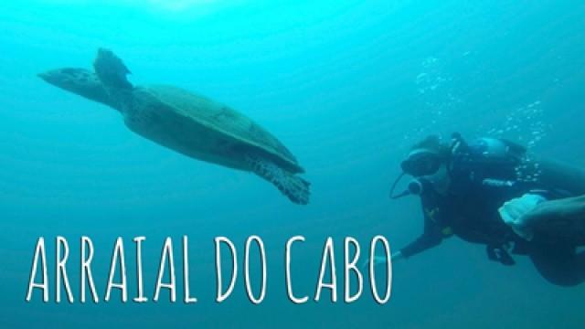 Nadei com uma tartaruga!
