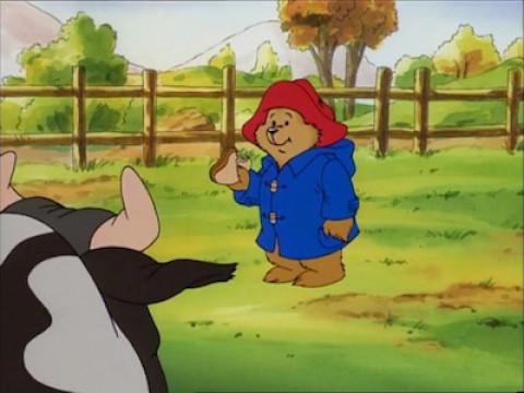 Howdy Paddington