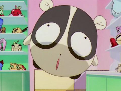 Sakura, un panda y una hermosa tienda