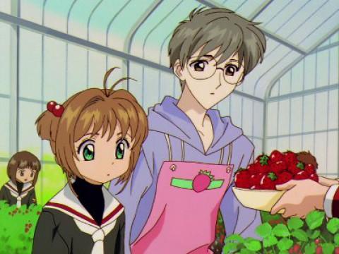 La divertida recolección de fresas de Sakura