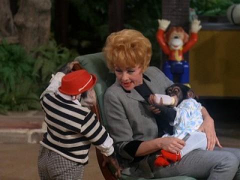 Lucy, The Baby Sitter