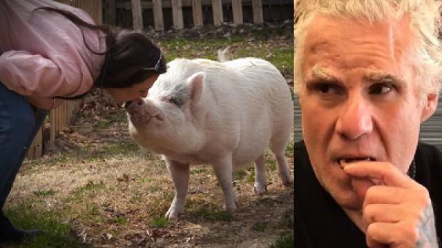 I Treat My Pet Pigs Better Than My Noisy-Eating Fiancé