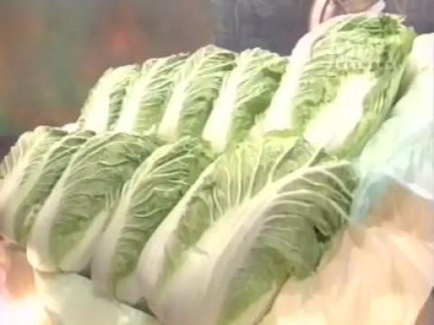 Chen vs Hisao Oidate (Chinese Cabbage)