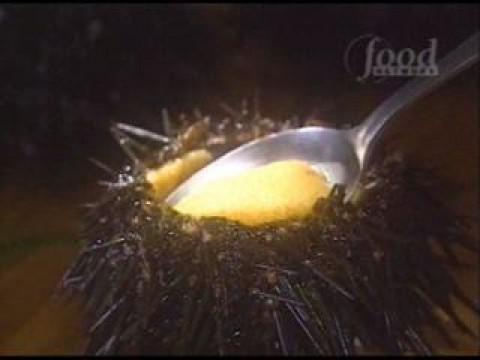 Sakai vs Yuji Wakiya (Sea Urchin)