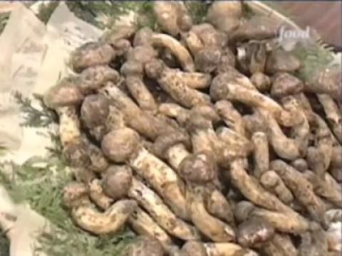 Michiba vs Minoru Noda (Matsutake Mushroom)