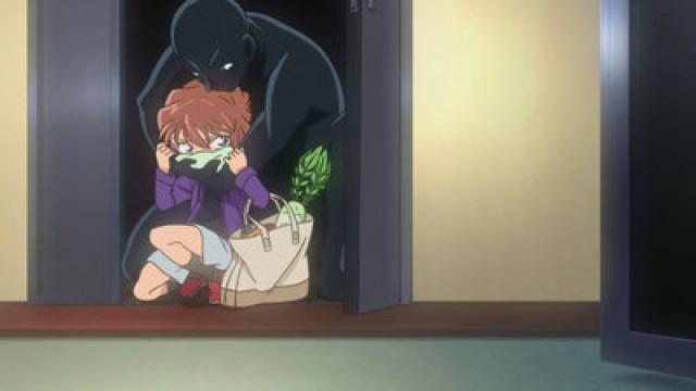 Ai Haibara Imprisonment Case