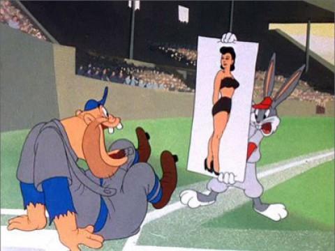 El conejo equipo