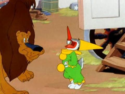 El conejo acróbata
