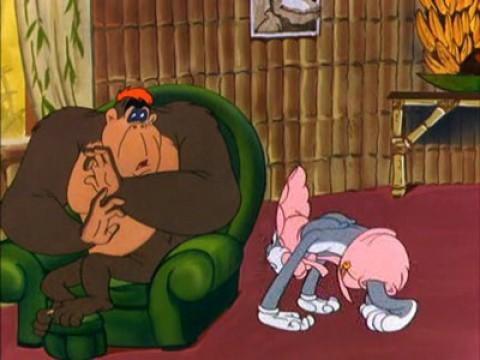 El gorila de mis sueños