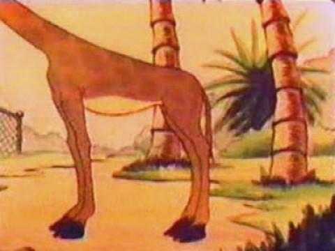 Un Día en el Zoológico