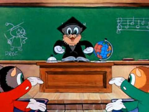 Los gatos de Katnip