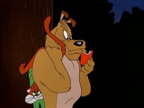 Perro glotón