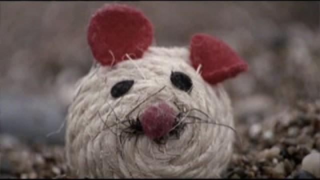Little Mouse